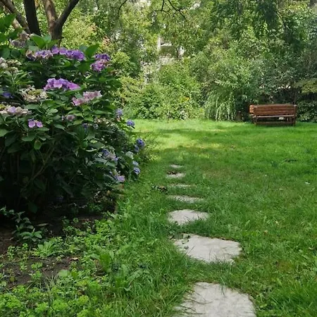 Siewert Dessau-Rosslau